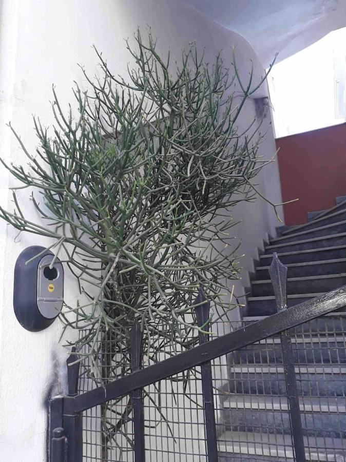 Cozy Studio In Central Location Of Heraklion Luaran gambar